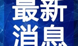 桃源剑阁爆料视频最新消息,神秘事件揭秘，剑道巅峰再起风云