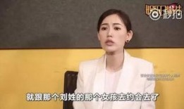 马蓉爆料王宝强视频,真相背后引人深思