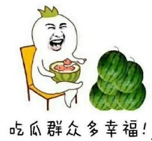 娱乐圈日常吃瓜